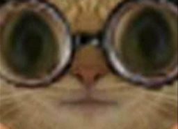 :Chatoune: