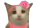 :ouai: