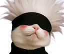 :Chatoru_gojo: