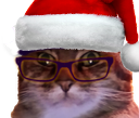 :chat_baguette_noel: