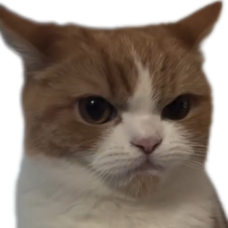 :Chat_boudeur_:
