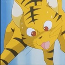 catseyee