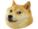 :shiba:
