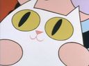 :chat_gentil_bulle: