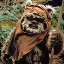 Ewok