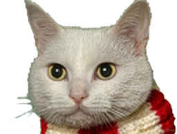 :Chat_Triss3: