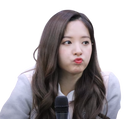 :bona: