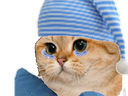 :sodium_fatigue: