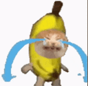 :chat_banane_pleure: