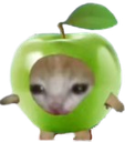 :Minipom:
