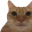 Photo de profil de 2e_pseudo