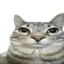 Photo de profil de Baiseur2trap