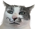 :chatmoustache: