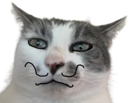 :chatmoustache: