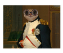 :Chat-Napoleon:
