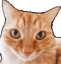:Chatoui: