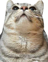 :cs_fier: