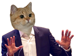 :chat_calme: