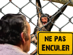 :ne_pas_enculer_2:
