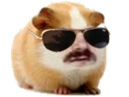 :Hamster: