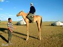 :cheval_bizarre_3: