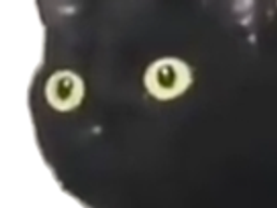 :chat_choque3: