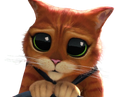 :chat_potte_stp: