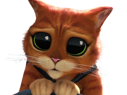 :chat_potte_stp: