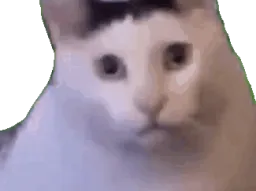 :Minou_han_ent: