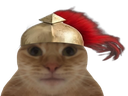 :Spartcat2: