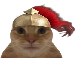 :Spartcat2: