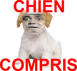 :chien_compris:
