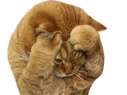 :Chatdoliprane: