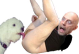 :pauvre_chien: