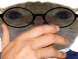 :chakoimain: