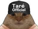 :TareOfficiel: