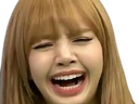 :lisa_pleure: