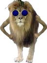 :Lion_ready:
