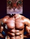 :muscle_chat_zoom: