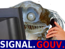 :Poisson_gouv: