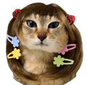 :Chat_barette: