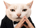 :Chatmastermind_mirroir: