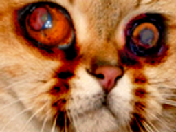 :sodium_cauchemar: