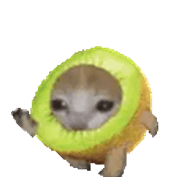 :chat_kiwi_court_v2: