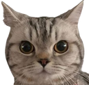 :Chatchouette_detourer:
