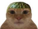 :chatsteque: