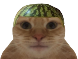 :chatsteque: