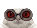 :Chat-Cru3:
