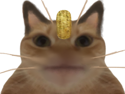 :miaouss_moche: