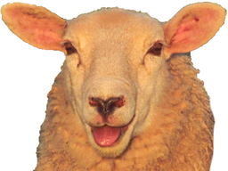 :mouton_:
